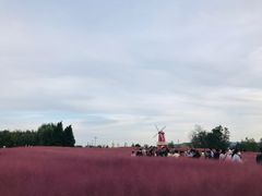 -羊亭河湿地公园