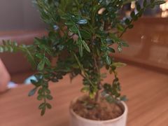 -CURRY YA 熟成咖哩專門店(深圳湾万象城店)