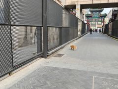 -老北京风情街