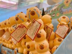 -首开·龙湖成都西宸天街