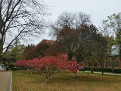 -中国人民大学-博物馆