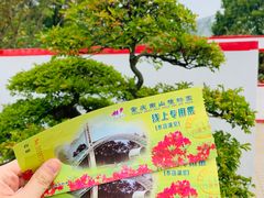 -南山植物园