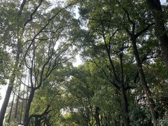 -上海虹桥迎宾馆