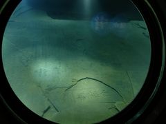 -白鹤梁水下博物馆