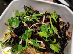 -虾胡闹·澳洲小龙虾·烧烤(福田鲨鱼店)