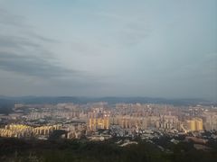 -长虫山生态公园风景林