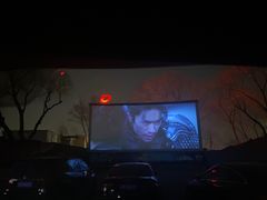 -枫花园汽车电影院(朝阳公园店)