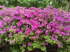 -南山风景名胜区