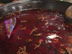 -鸿顺老铁锅美蛙鱼府(解放碑店)