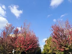 -辽宁大学(崇山校区)