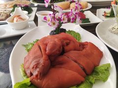 -金龙寨(龙城路店)