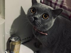 -东方之珠洗浴休闲广场(和平店)