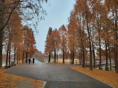 -宁波杭州湾国家湿地公园