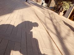 -ZARA(成都远洋太古里店)