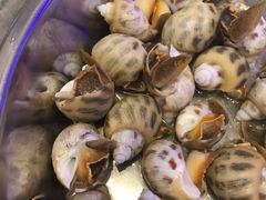 -青蓬蒸汽海鲜·深圳老字号·团建聚会(壹方城店)