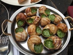 -金蜗牛