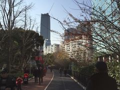 -北外滩滨江绿地