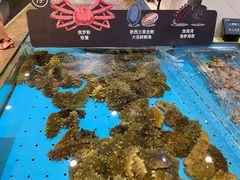 -徐记海鲜(开福寺|伍家岭店)