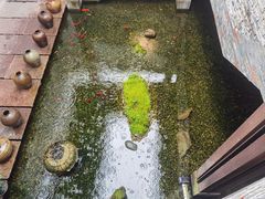 -几荷·恰似故人来(秀水广场店)