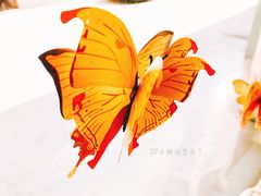 -蝶舍·MAISON PAPILLON