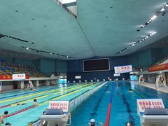 -重庆市奥林匹克体育中心-游泳跳水馆