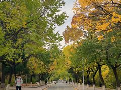 -吉林大学(南岭校区)