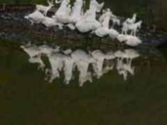 android_upload_pic-仙桥地下河