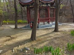 -云岗森林公园