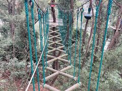 -芦仙山景区-飞越丛林探险乐园