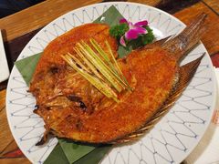 -紫滇源云南生态菜(丹凤街店)