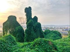 -漳州滨海火山岛自然生态风景区