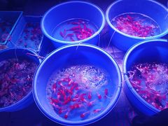 -华声天桥民俗文化园