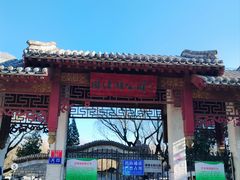 -团结湖公园