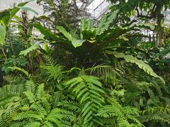 -国家植物园南园