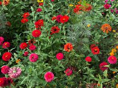 -永定河休闲森林公园