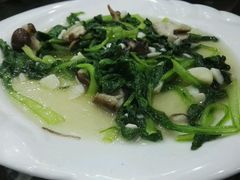 香菇小青菜-徽州美食(三十年老店)