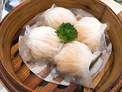 水晶鲜虾饺-香港新曜记茶餐厅(万泰城店)