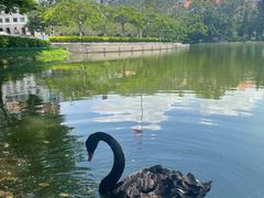 -芙蓉餐厅(厦大店)