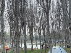 -东郊湿地公园