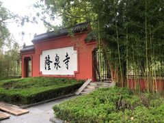 -百脉泉景区