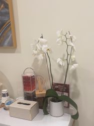 -海涛医疗美容·面部抗衰·注射美鼻