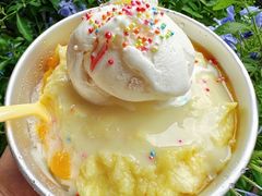 -铁真·刨冰红焖羊肉·正宗老字号