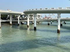 -演武大桥观景平台