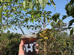 -Torch Coffee 炬点咖啡