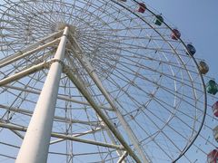 -洋湖国家湿地公园