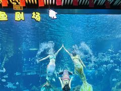 -锦艺城海洋馆