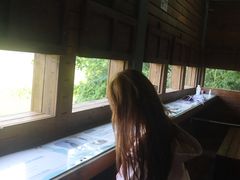 -华侨城湿地公园