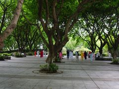 -重庆市江北嘴中央商务区中央公园