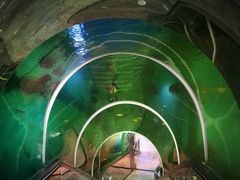 -瑞德姆美人鱼海底演艺主题餐厅(亚龙湾店)