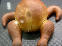 火鸡面包-喜马拉雅森(运河汇1958店)
